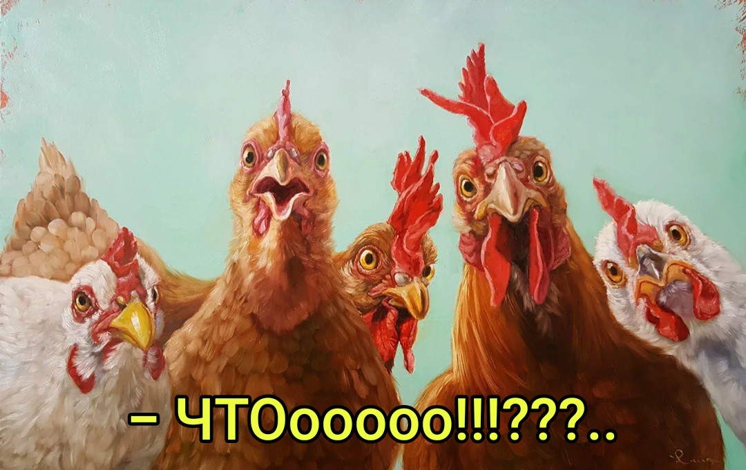 Что на ужин???