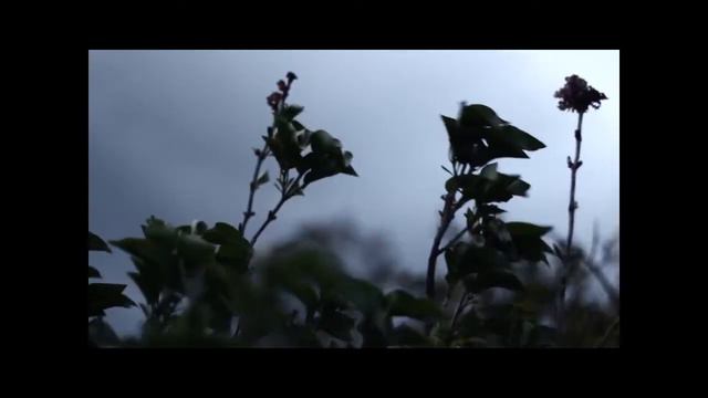 EP84: Dating Dangers смотреть онлайн