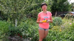 Самый вкусный перец Джемини F1 (укр).