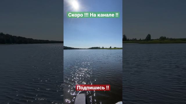 Дикарь !!! Берлога 86 !! Это вам не Журалайф !!! смотреть онлайн