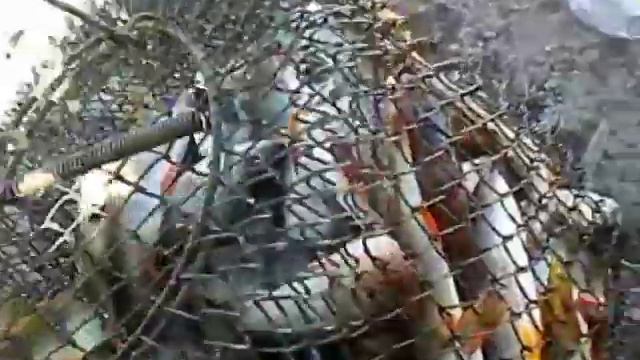 Рыбалка на окуня смотреть онлайн