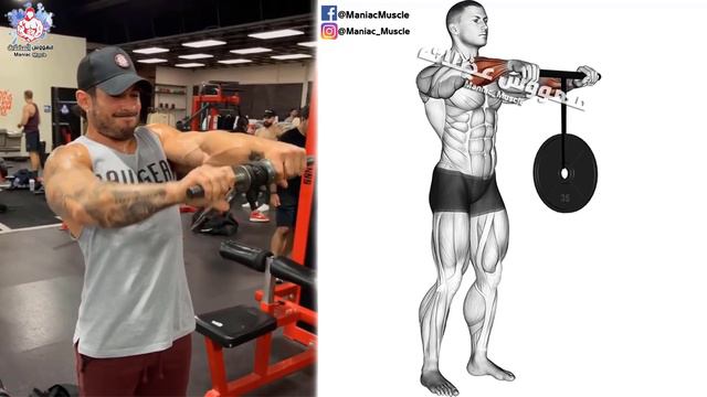 6 BEST Exercises For Bigger Forearms Workout