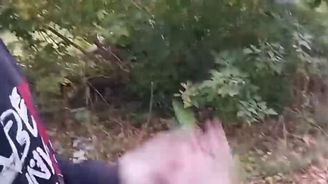 НАС ЧУТЬ НЕ СБИЛА МАШИНА. смотреть онлайн