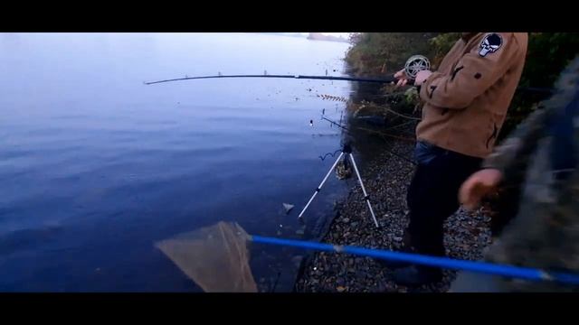 Как в кушугуме рыбалка. Карповая ловля 2021. Хороший отдых на берегу с отцом. Карп,сазан,карась... смотреть онлайн