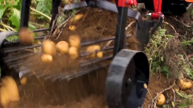 Кентавр 1081Д и картофелекопалка смотреть онлайн