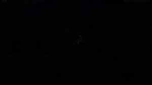 Гайд По Всем Мимикам в Террарии | Terraria1.4.4