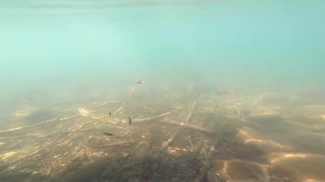 Камчатка САП сын Дальнее оз 2019 смотреть онлайн