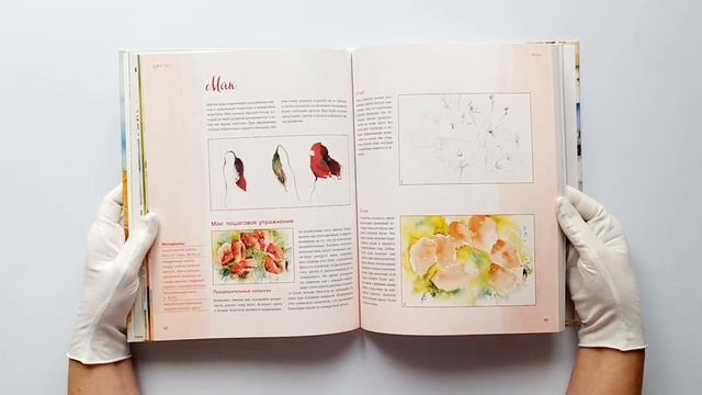 Акварель. Полный курс рисования. Основы, техники, сюжеты смотреть онлайн