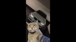 tranzipone - дресскод в психокидс день первый