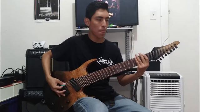 Ladrones - Instinto Animal Guitar Cover By: José LB смотреть онлайн
