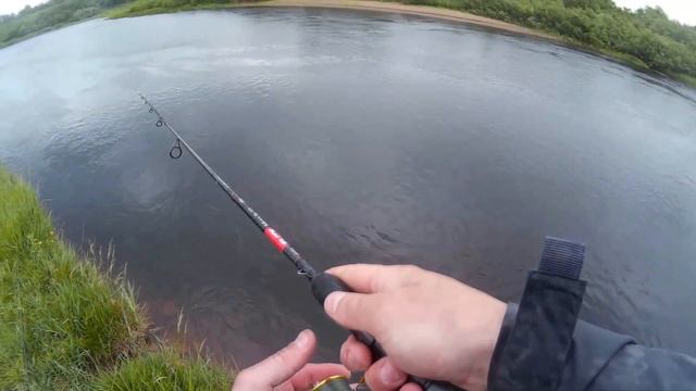 UL с Salmo Elite Micro Gig 10 на р.Луга смотреть онлайн