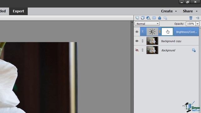 Using Layers in Photoshop. How to Use Layers in Adobe Photoshop Elements 2019 - Part 4 - Layer Mask смотреть онлайн