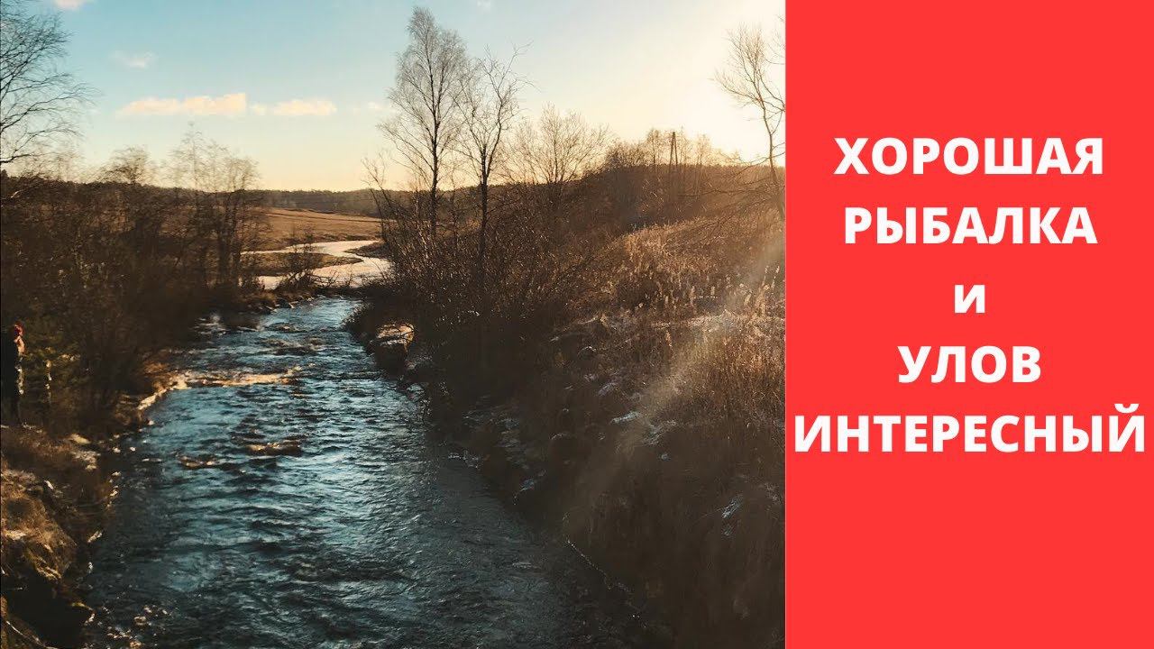 #20 #ультралайт Хорошая рыбалка и улов интересный смотреть онлайн