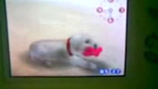 Nintendogs Best Friends Edition смотреть онлайн