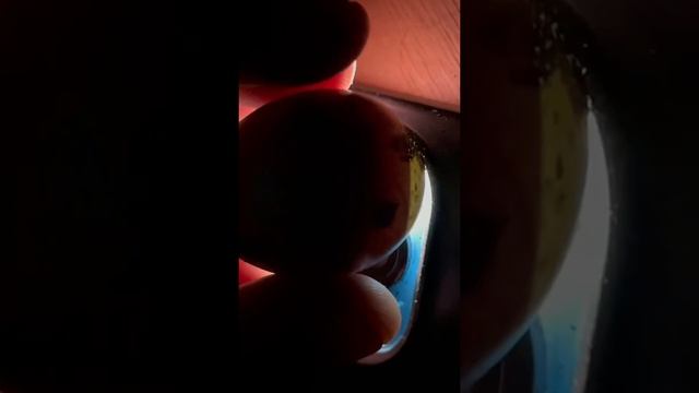 Есть ли зародыши в покупных яйцах из магазина? смотреть онлайн