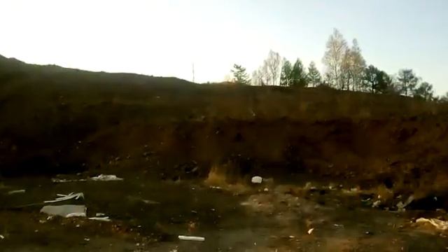 Цвергпинчер на охоте за лисой. смотреть онлайн