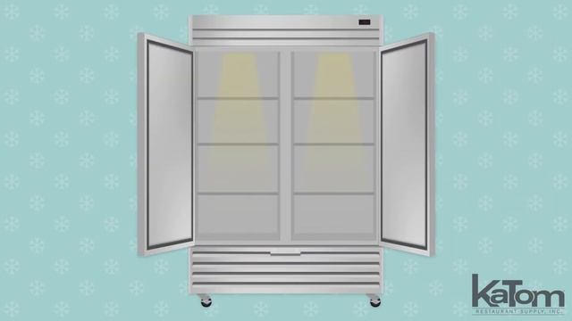 Hoshizaki Economy Series 2-Section Reach In Freezer (EF2A-FS) смотреть онлайн