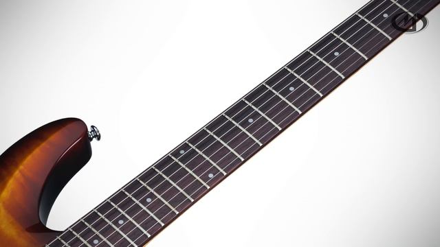 SCHECTER C-6 PLUS VSB смотреть онлайн