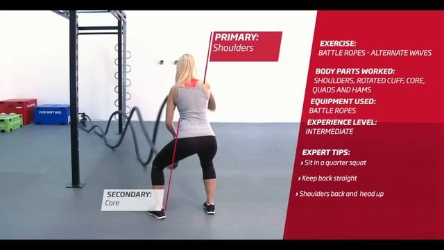 Battle Ropes - Alternate Waves