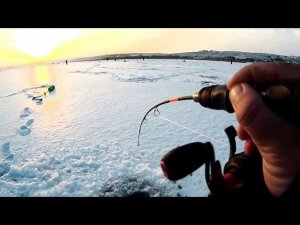 ЖЕСТЬ РЫБАЛКА!!! ЗДЕСЬ ТОННЫ СУДАКА!!! РЫБАЛКА 2023