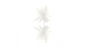 Эта Мантра благословляет  дом, в котором звучит