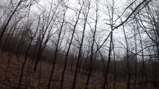 Охота с Русскими пегими гончими#19 смотреть онлайн