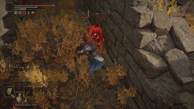 Finally beat Eleonora, violet Bloody Finger in ELDEN RING смотреть онлайн