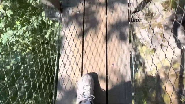 School Trip Day | Capilano Suspension Bridge смотреть онлайн