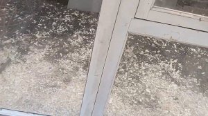 Теплица из старых оконных рам.