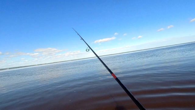 Обь Ловля щуки с берега смотреть онлайн