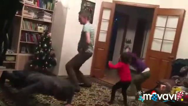 Домашний Гарлем Шейк смотреть онлайн