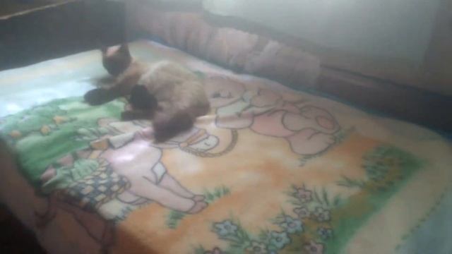 Невероятно! /Уборка vs грязь /#чистота смотреть онлайн