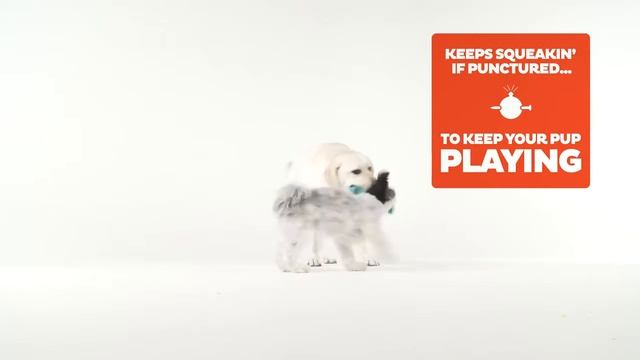 игрушка для собак Invincibles - Змея смотреть онлайн