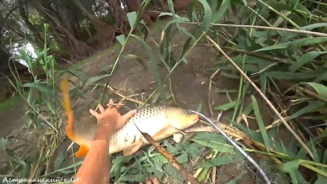 Зимняя рыбалка на реках и озерах