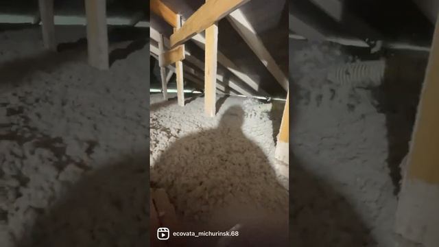 Эковата , утепление чердачного перекрытия #эковата #эковатамичуринск #дом #утеплитель #мичуринск смотреть онлайн