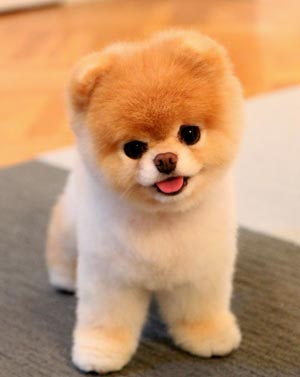 Релакс музыка смотреть онлайн