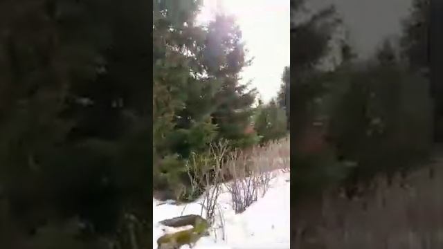 Москва. д. Говорово. Татьянин парк. смотреть онлайн