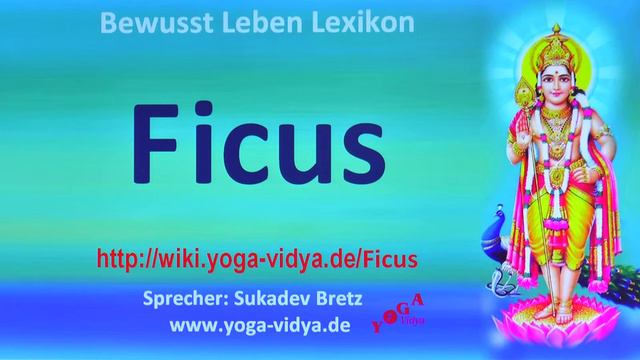 Ficus смотреть онлайн