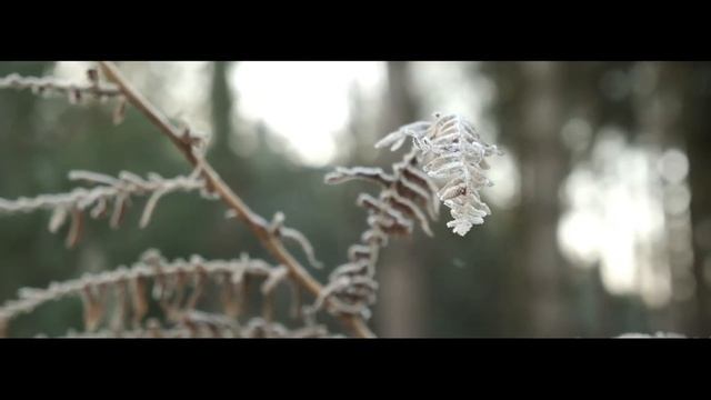 Fujifilm XT - 30 | First Cinematic Video test смотреть онлайн