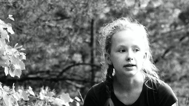 Строки восторга: Поэзия, воспевающая поэта