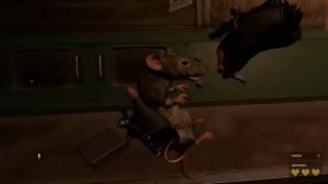 Marmok нашёл Рататуя