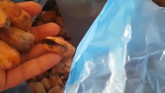 Как правильно чистить мидии без створок, 5кг за 2000рублей/как чистить в конце видео смотреть онлайн