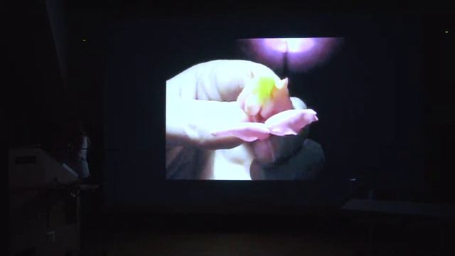 Evergreen Art Lecture Series - Gretchen Bennett смотреть онлайн