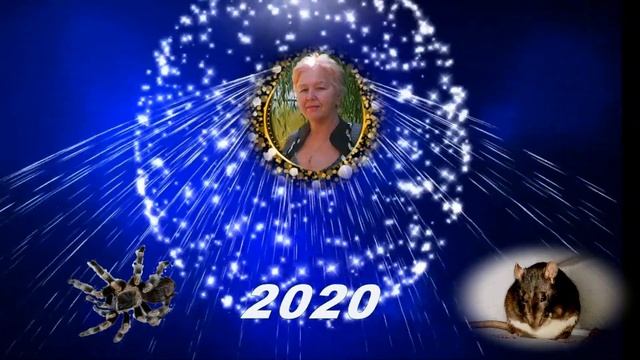С новым 2020 годом!