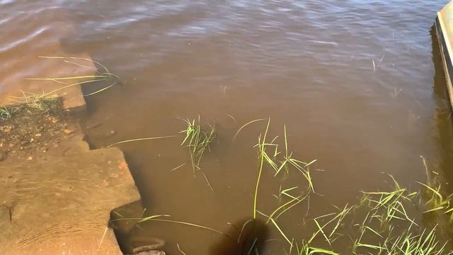 Сплав по Клязьме и Оке (Часть 2) Нашли удивительное место. Старинные шлюзы на реке Теза. смотреть онлайн