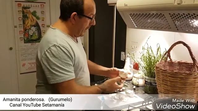 Receta con gurumelos. Receta Amanita ponderosa. Cocinar Gurumelos. смотреть онлайн