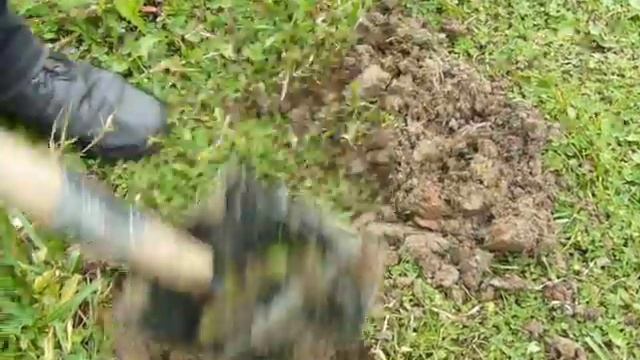 Металлоискатель Адамант-Ф25 (www.геосканер.рф) смотреть онлайн