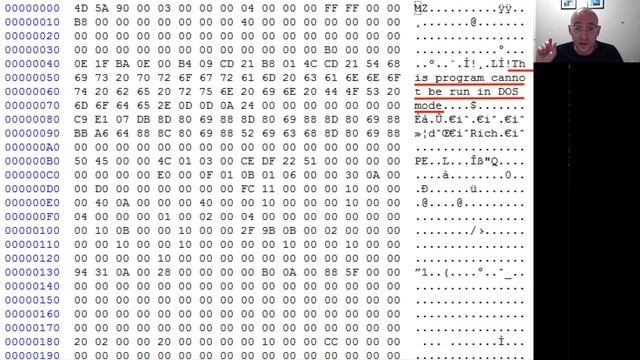 Remcos RAT Unpacked From VB6 With x64dbg Debugger смотреть онлайн