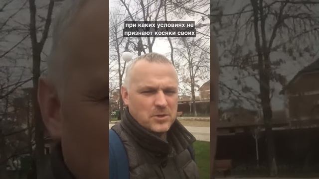 Сильный и слабый руководитель