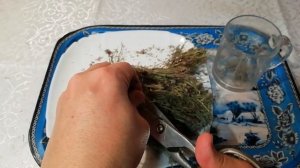 ? В ЧЁМ ПОЛЬЗА ЧАБРЕЦА ? ЦЕЛЕБНЫЙ ЧАЙ ИЗ ЧАБРЕЦА .?